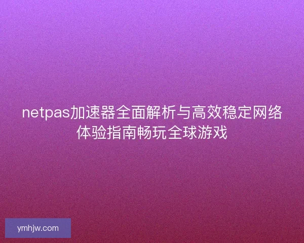 netpas加速器全面解析与高效稳定网络体验指南畅玩全球游戏