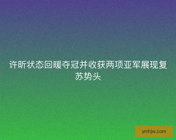 许昕状态回暖夺冠并收获两项亚军展现复苏势头
